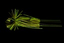 Tigris Jig 7G 03-Green Pumpkin